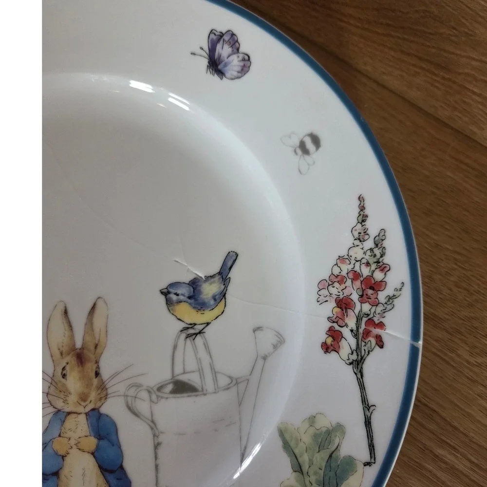 Beatrix Potter Peter Rabbit Character‎ Garden Watering Can Plate Decorative